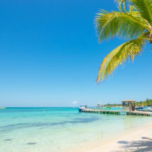 A beach with palm trees and clear blue water